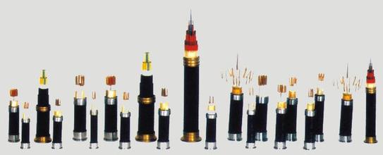 IPD研制系統(tǒng)在控制電纜行業(yè)同樣適用