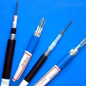 鎧裝屏蔽計(jì)算機(jī)電纜