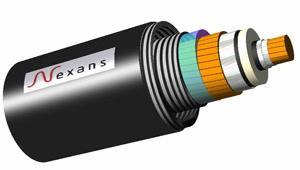 �ɂ�(g��)TSO�͸ߜ���|��ͬ